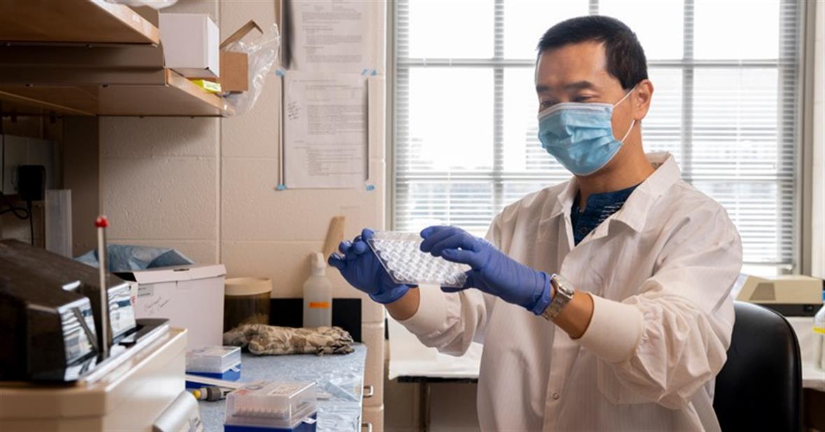 Shuo Wei, associate professor of biological sciences at the University of Delaware, studies genetic mutations and the birth defects they cause.