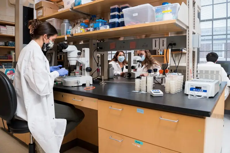 Aimee Jaramillo-Lambert and students work in the lab.